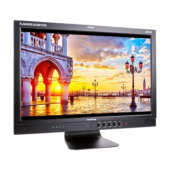 Monitor Regia FSI DM240