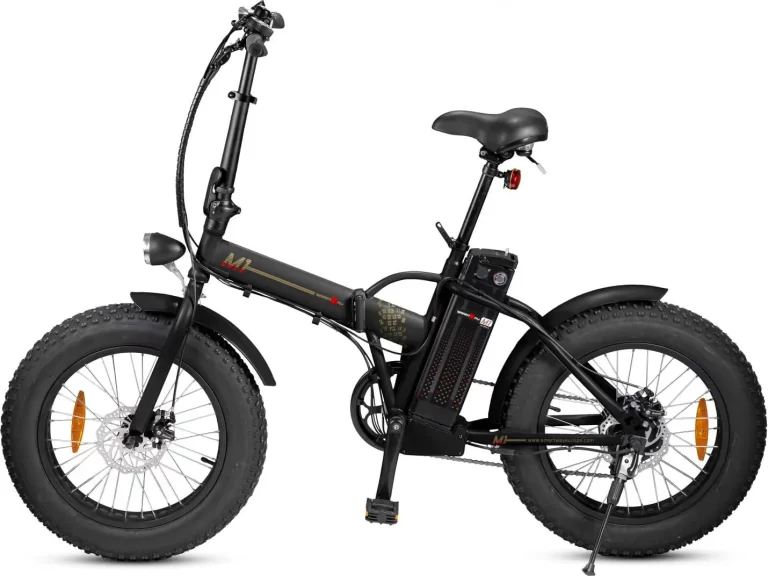 Bici elettrica