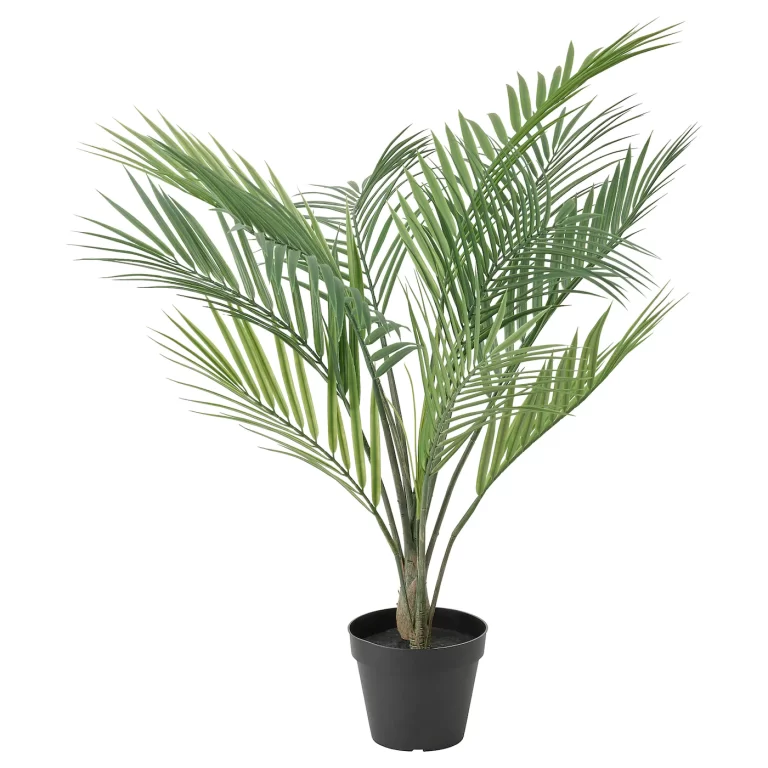 Pianta artificiale(ARECA)