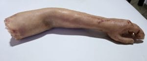 braccio realistica in silicone